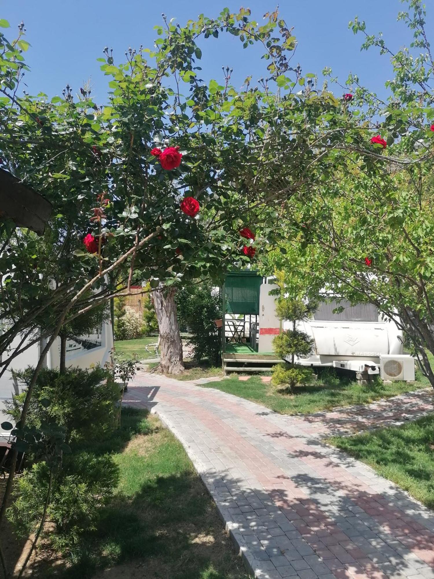 Oba Beach Hotel Oludeniz Exterior foto