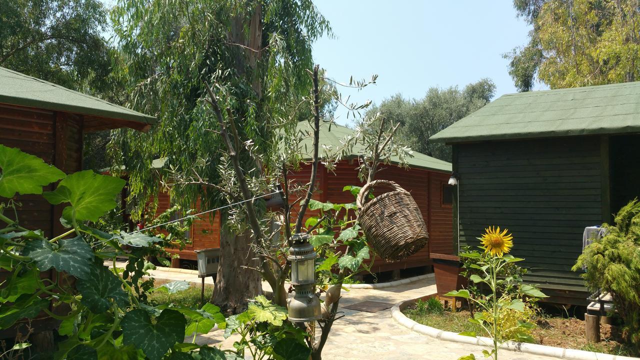 Oba Beach Hotel Oludeniz Exterior foto