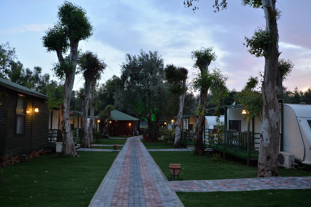 Oba Beach Hotel Oludeniz Exterior foto